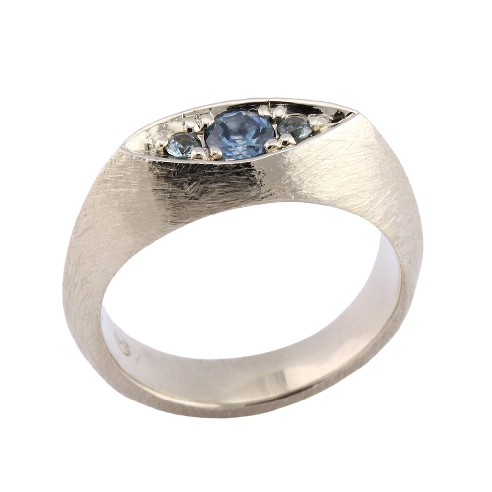 
                      
                        Angled view of 14k white gold guardian eye ring with 4.3mm Montana sapphire center stone and two 2.5mm pale blue montana sapphire side stones by Betsy Barron.
                      
                    