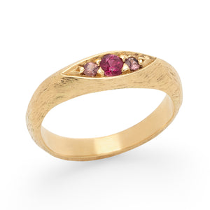 Remy Ring in 18k yellow gold with ruby and pink sapphires